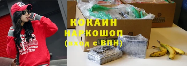 прущие грибы Дмитриев