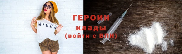 прущие грибы Дмитриев