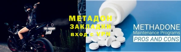 прущие грибы Дмитриев