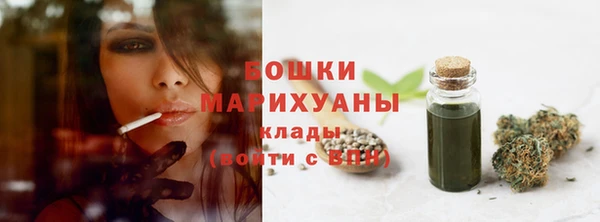 стафф Елизово