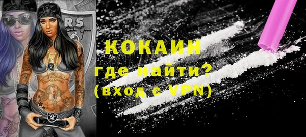 прущие грибы Дмитриев