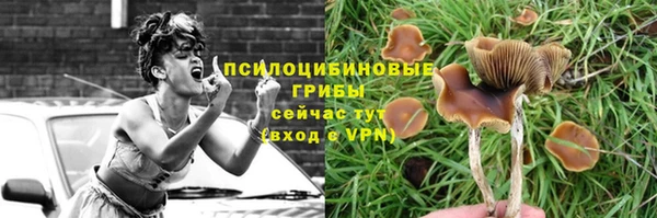 MDMA Дмитров