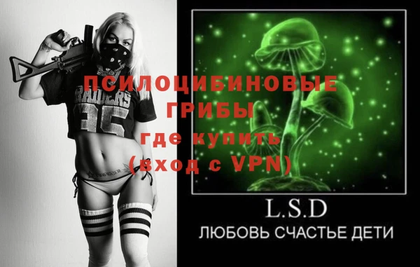 дмт Елабуга