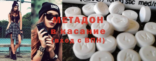 прущие грибы Дмитриев